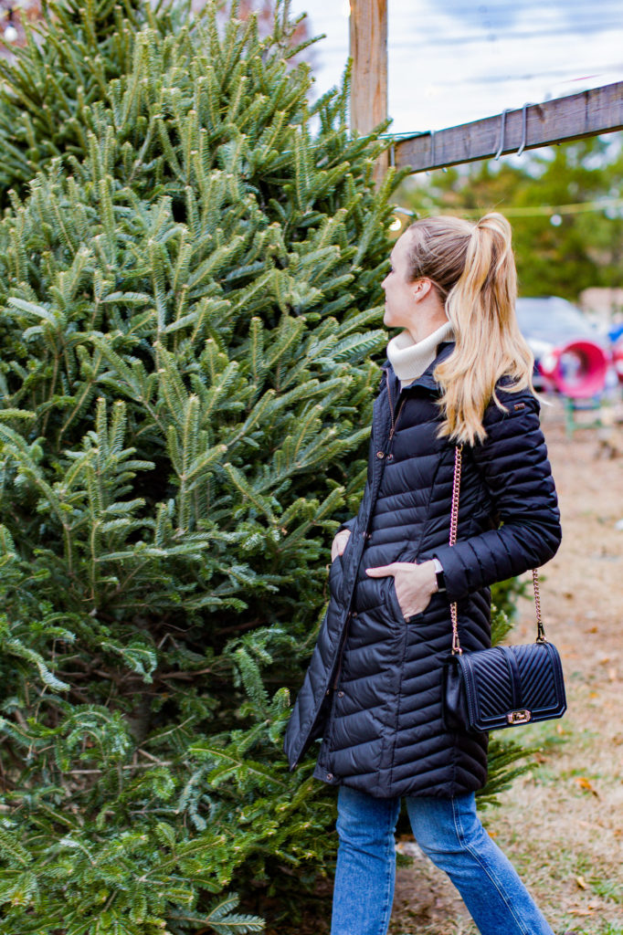 What to Do in Raleigh this Holiday Season（different way of life）