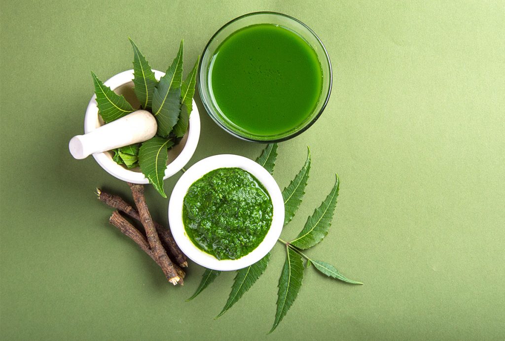 Nutritious meals–Neem: 10 Amazing Benefits, Uses, and Side Effects