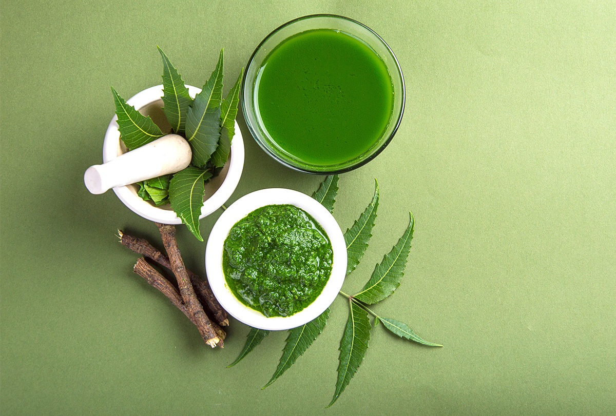 Nutritious meals–Neem: 10 Amazing Benefits, Uses, and Side Effects