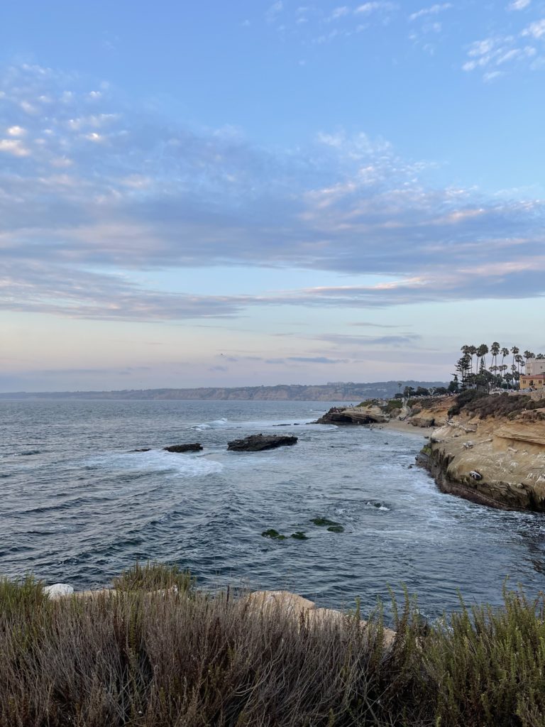 Every thing You Have to Know for a Trip to La Jolla, California（completely different lifestyle）