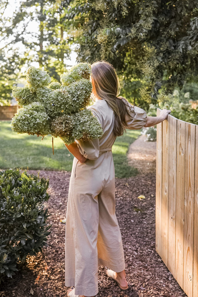 How I Dry Our Hydrangeas + Vases You Won’t Regret Buying（different way of life）
