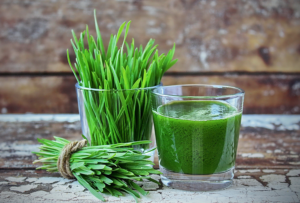 Nutritious meals–Wheatgrass Juice: Vitamin, Advantages, and Tips on how to Eat It