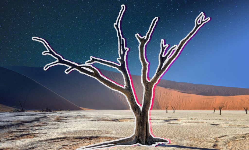 Go Boldly:7 Reasons You Need to Visit Namibia