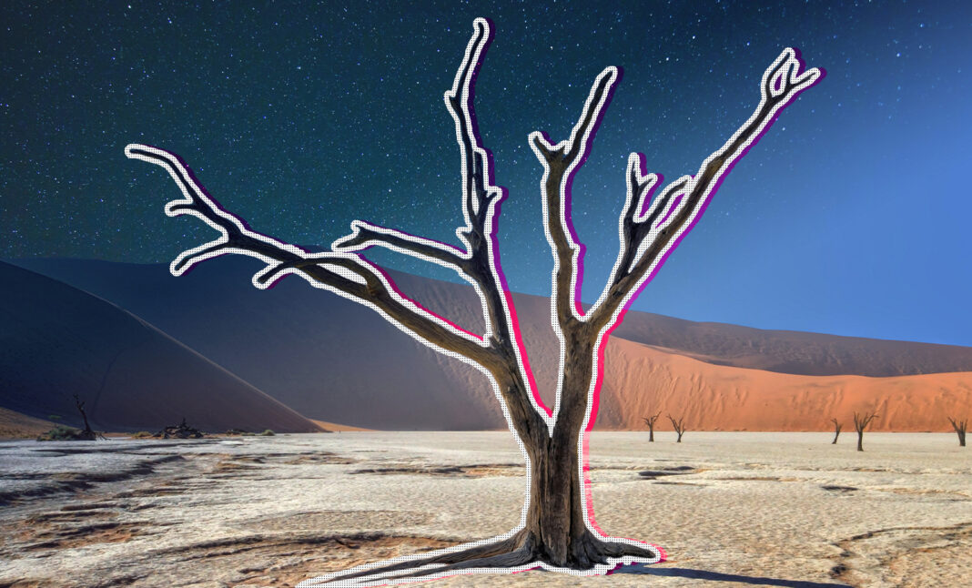 Go Boldly:7 Reasons You Need to Visit Namibia