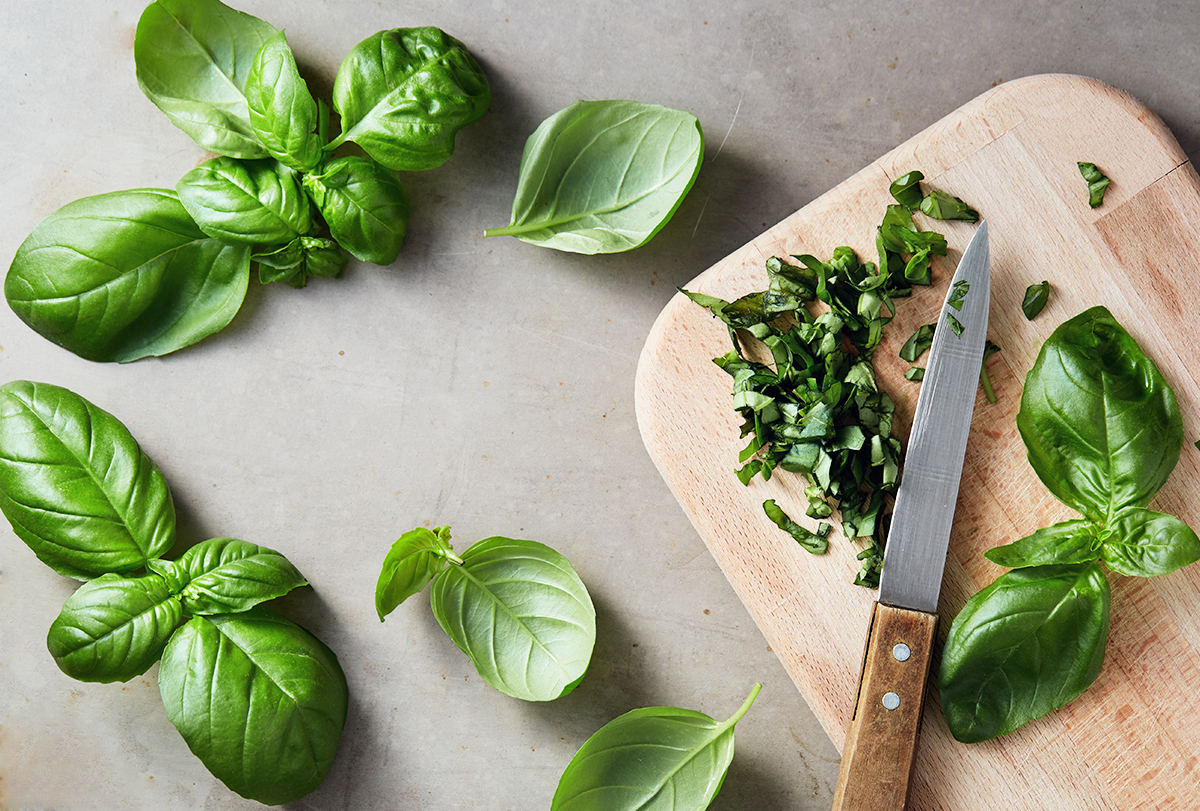 Nutritious meals–6 Well being Advantages of Basil and Dietary Information