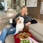 Go Boldly:Queasy Travellers Rejoice! These 10 Ideas Will Assist You Beat Airsickness