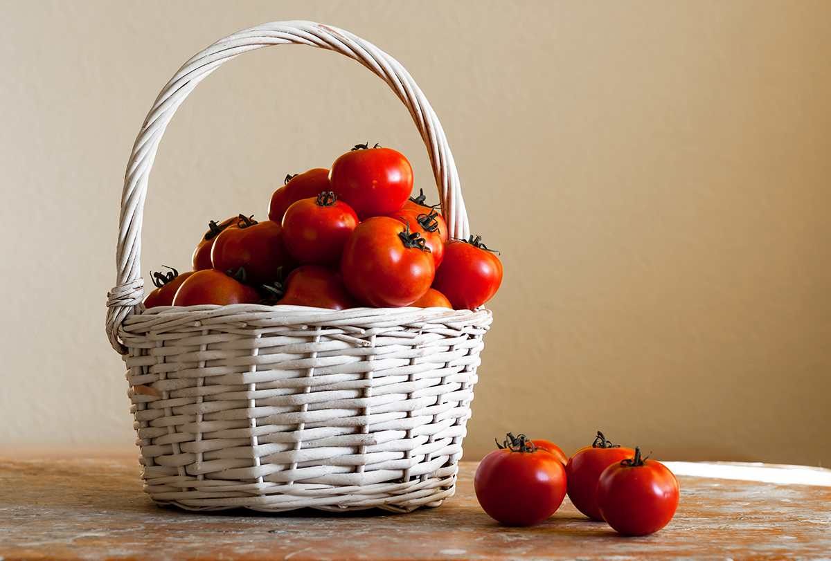Nutritious meals–10 Causes Why Tomatoes Are Good for Your Well being