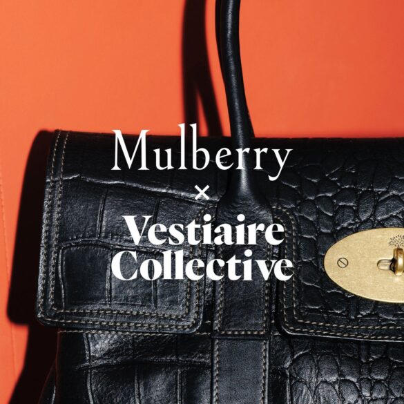 The Mulberry Lexicon: A Discerning Guide to Curating Your Lifetime Companion in the Age of Conscious Luxury